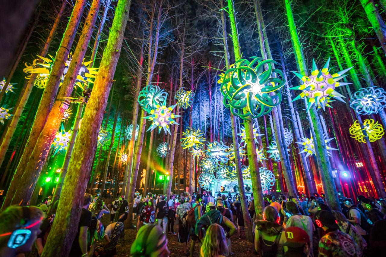 Forest electric festival reddit